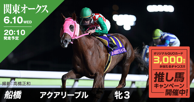 川崎競馬 関東オークス 推し馬キャンペーン みんなの投稿 Buzzes バジズ